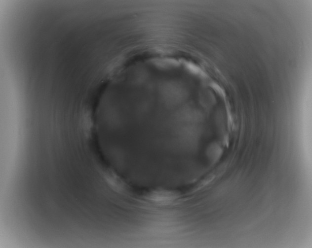 X0000116010707200911251121