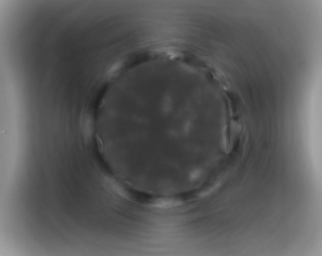 X0000116010708200911251121