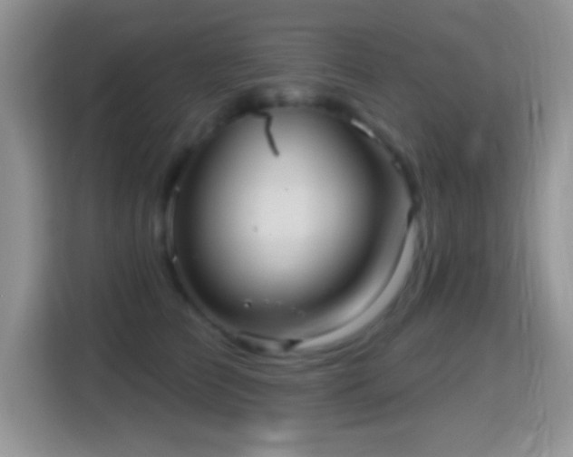 X0000116010709200911251121