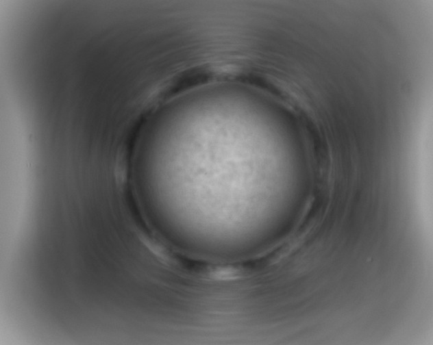 X0000116010710200911251120