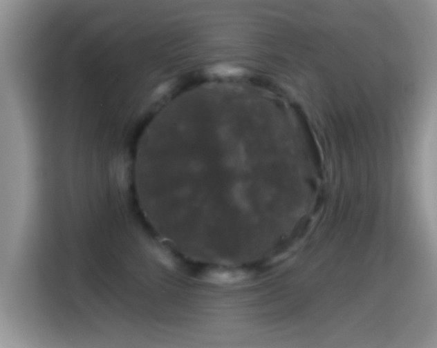 X0000116010712200911251120