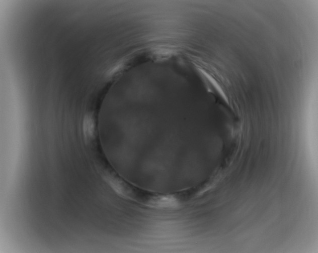X0000116010715200911251120