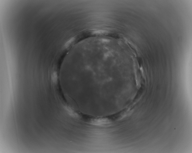 X0000116010716200911251120