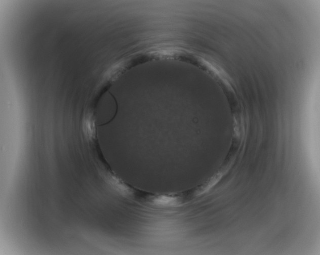 X0000116010718200911251120