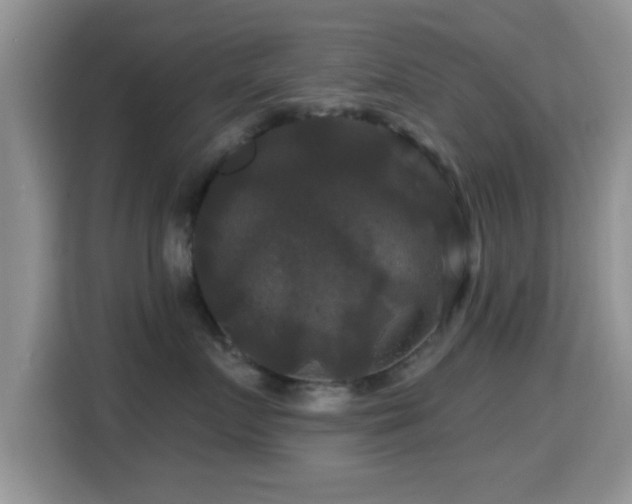 X0000116010719200911251120