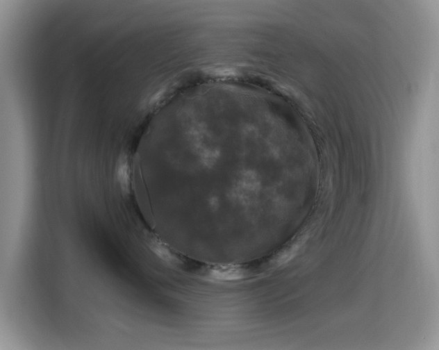 X0000116010720200911251120
