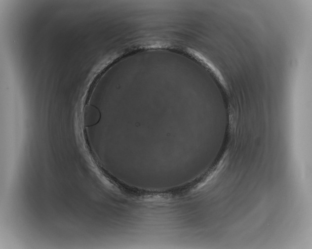 X0000116010721200911251120
