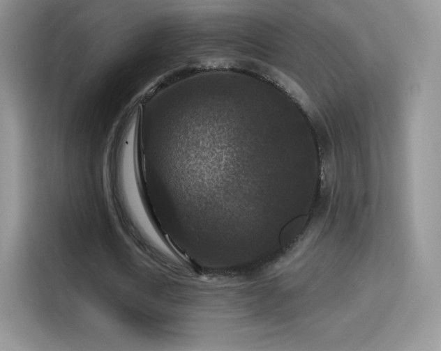 X0000116010722200911251120