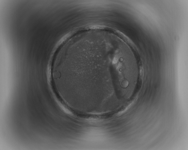X0000116010725200911251120