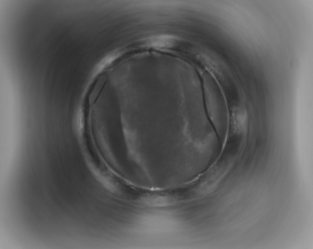 X0000116010726200911251120