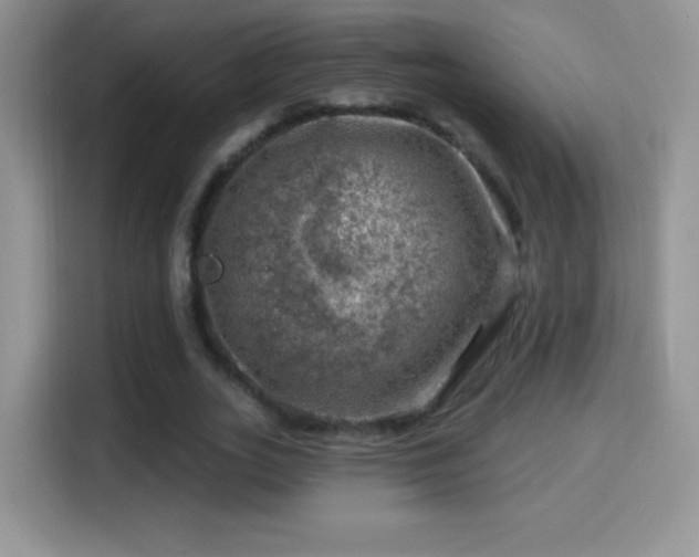 X0000116010727200911251120
