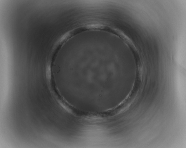 X0000116010729200911251120