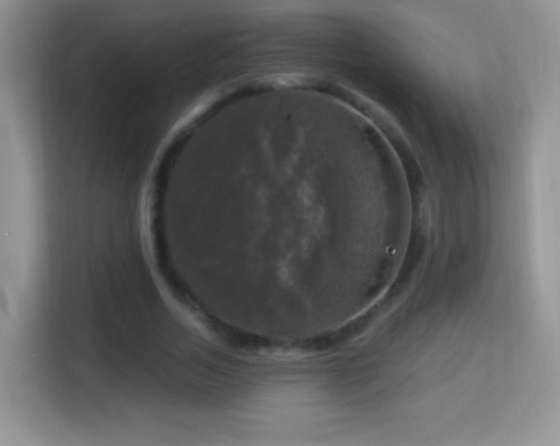 X0000116010730200911251120