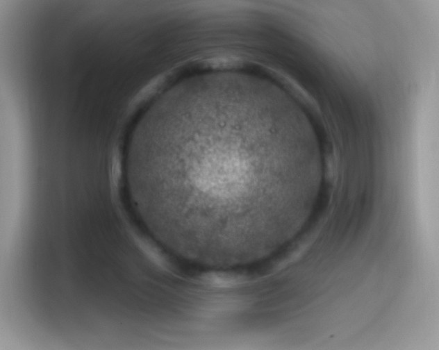 X0000116010733200911251120