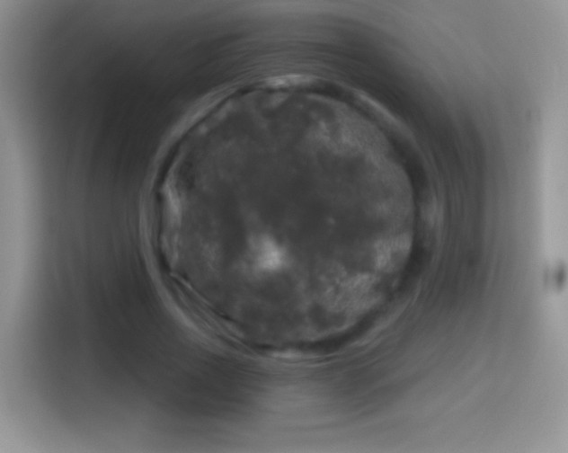 X0000116010734200911251120
