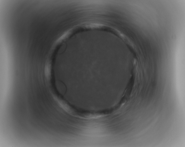 X0000116010735200911251120