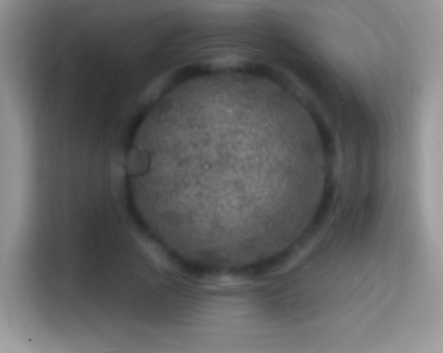 X0000116010737200911251120