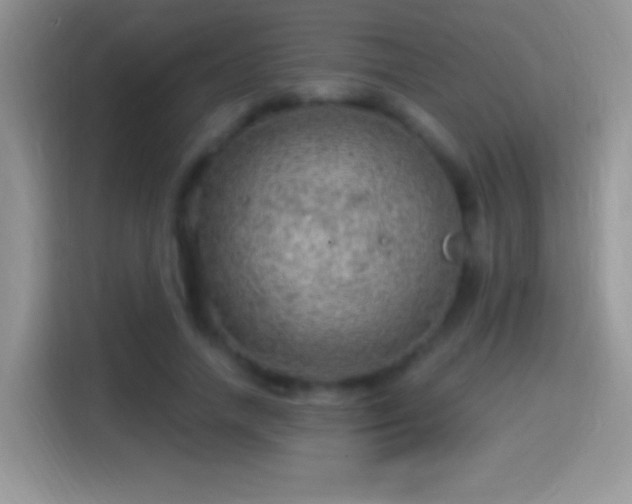 X0000116010738200911251120