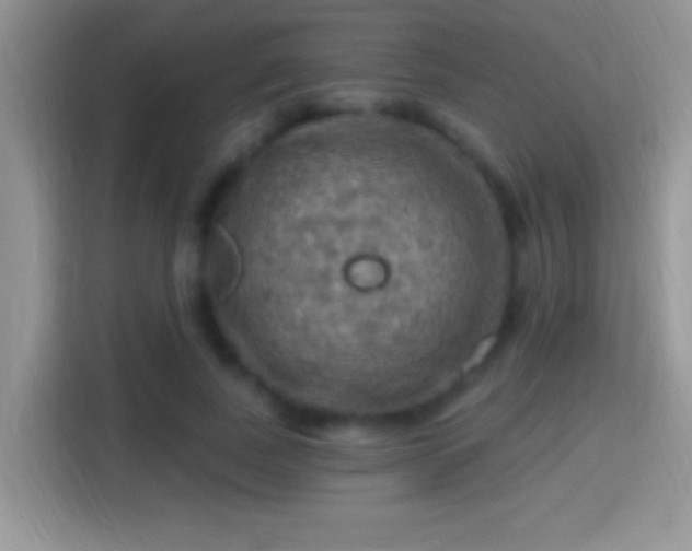 X0000116010739200911251120