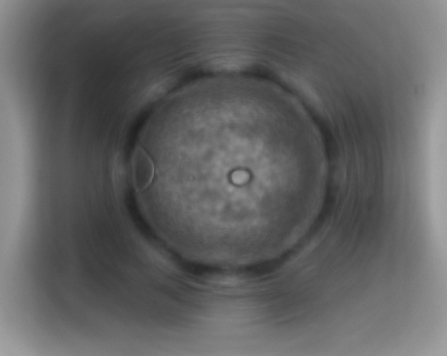 X0000116010743200911251120