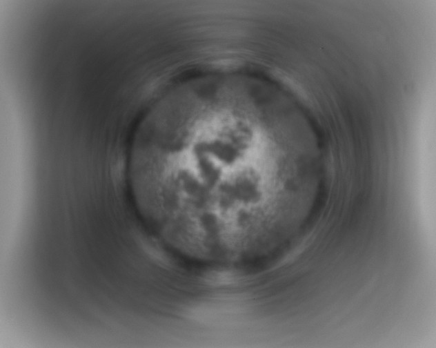 X0000116010745200911251120