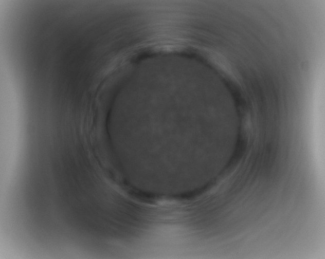 X0000116010746200911251120