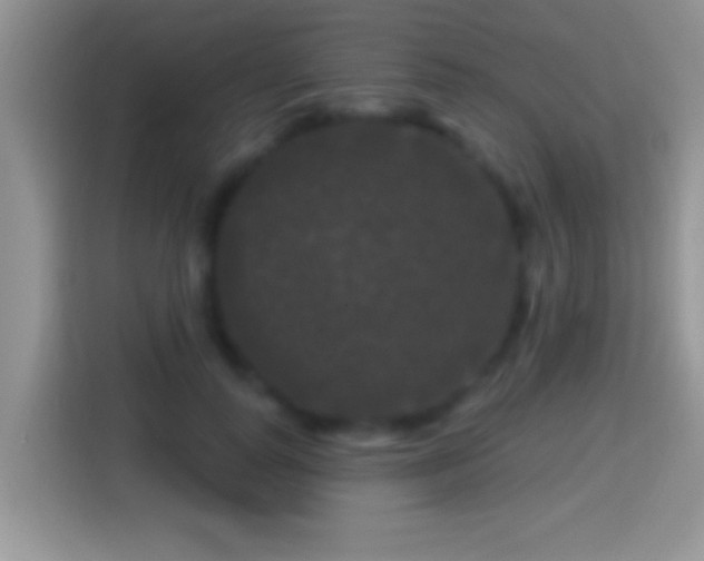 X0000116010747200911251120