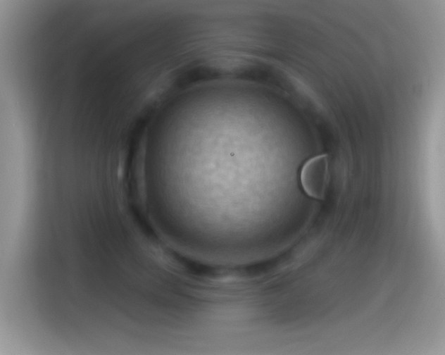 X0000116010750200911251120