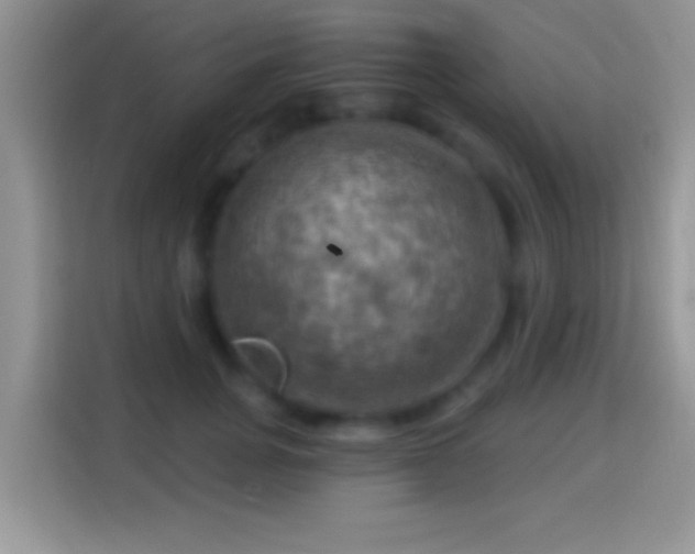 X0000116010751200911251120