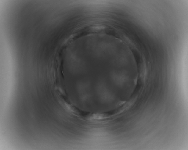 X0000116010758200911251120