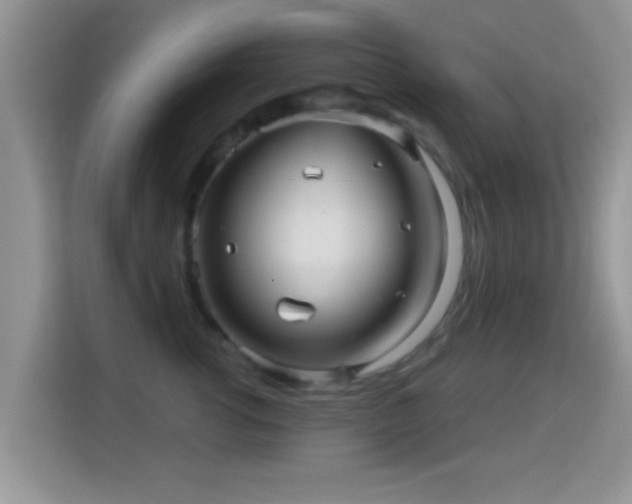 X0000116010762200911251120