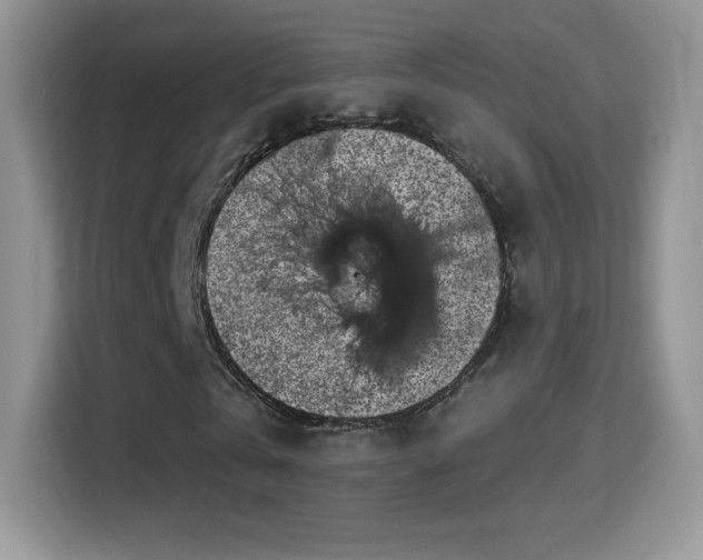 X0000116010769200911251120