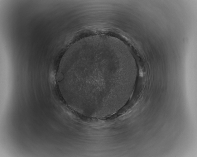 X0000116010772200911251120
