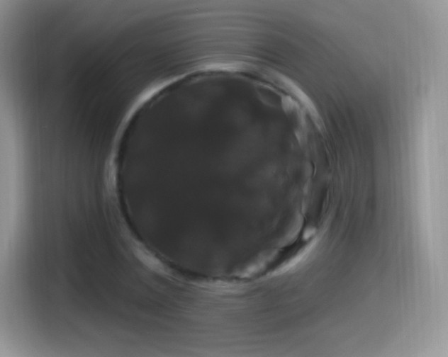 X0000116010779200911251120