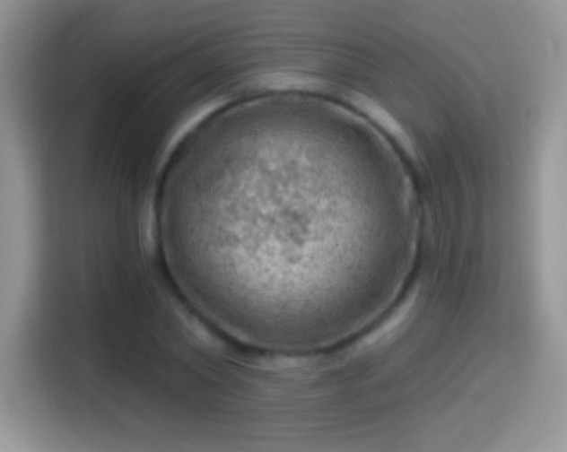 X0000116010782200911251120