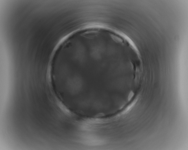 X0000116010783200911251120