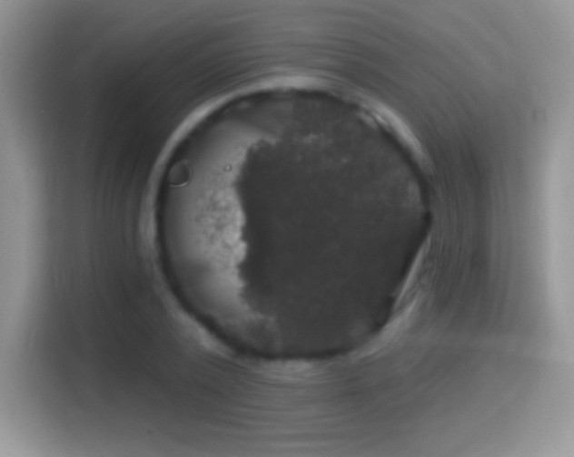 X0000116010784200911251120