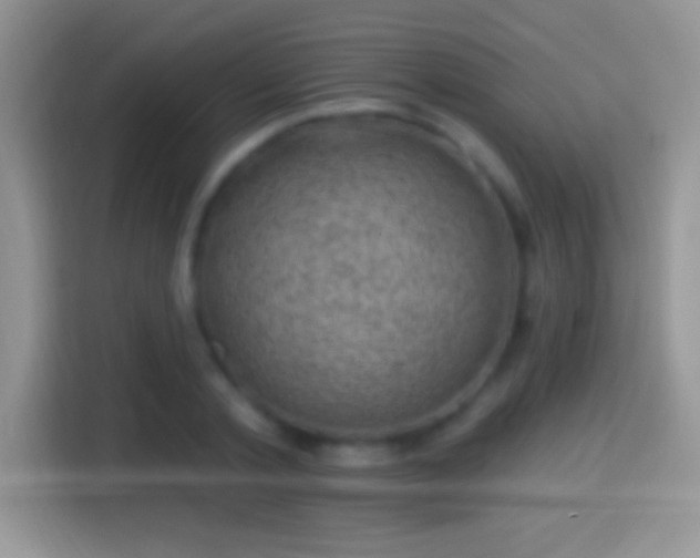 X0000116010789200911251119