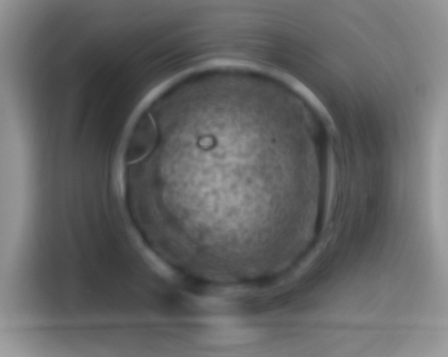 X0000116010791200911251119
