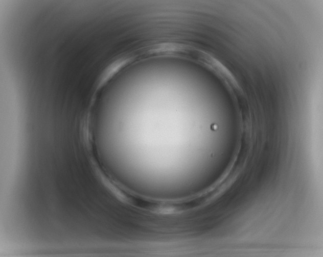 X0000116010794200911251119