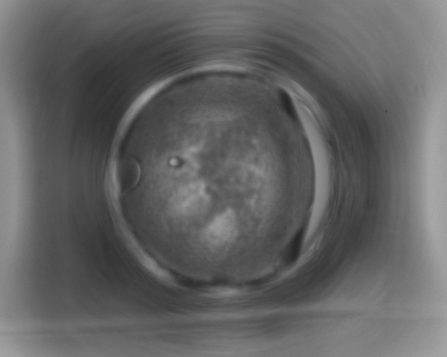 X0000116010796200911251119