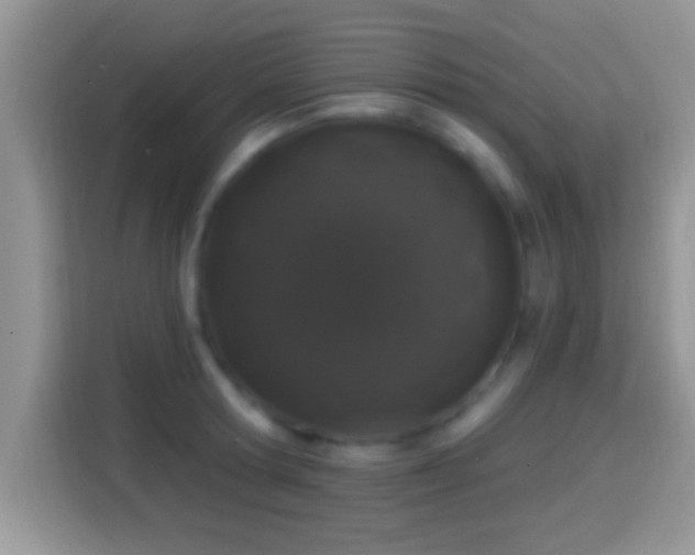 X0000116010802200911251119