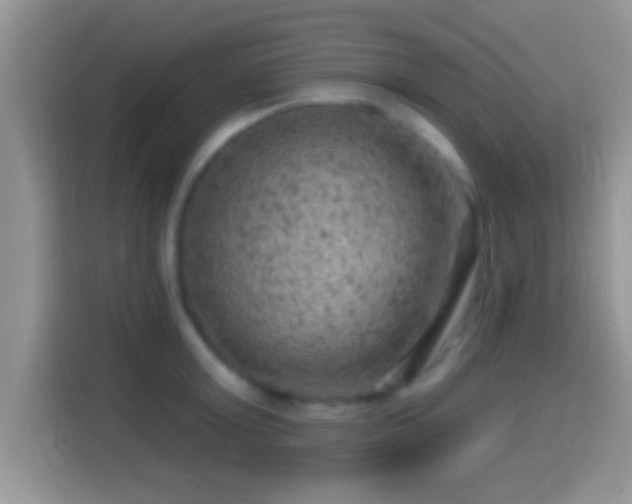 X0000116010803200911251119