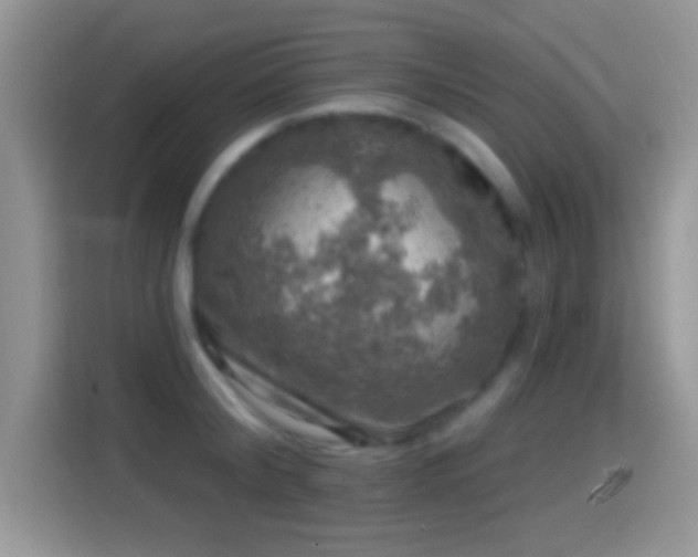 X0000116010804200911251119