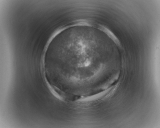 X0000116010808200911251119