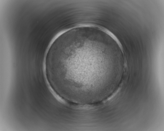 X0000116010811200911251119