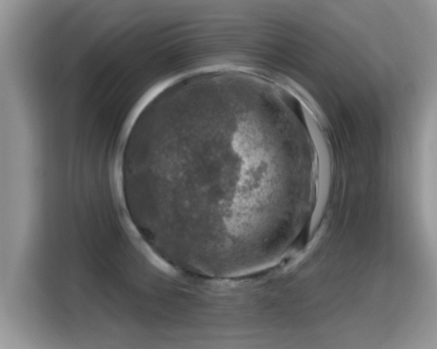 X0000116010812200911251119