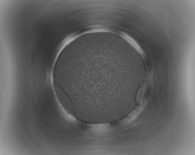 X0000116010813200911251119