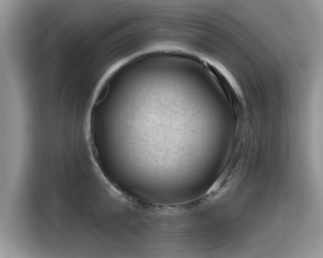X0000116010815200911251119