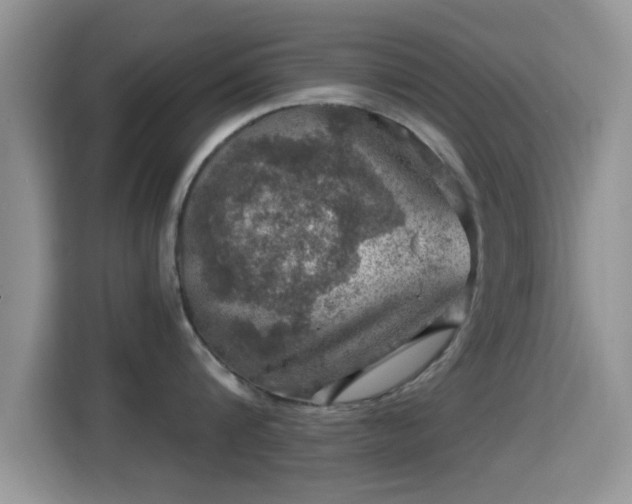 X0000116010816200911251119